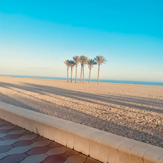 Spain Andalusia Beach Level Image